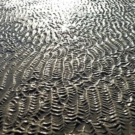 公寓 Duinlicht-oostduinkerke