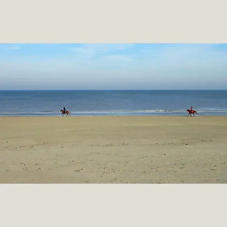 Duinlicht-oostduinkerke Appartement