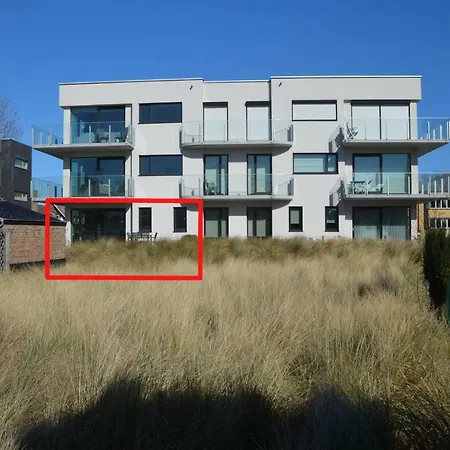 Duinlicht-oostduinkerke * 东代恩凯尔克